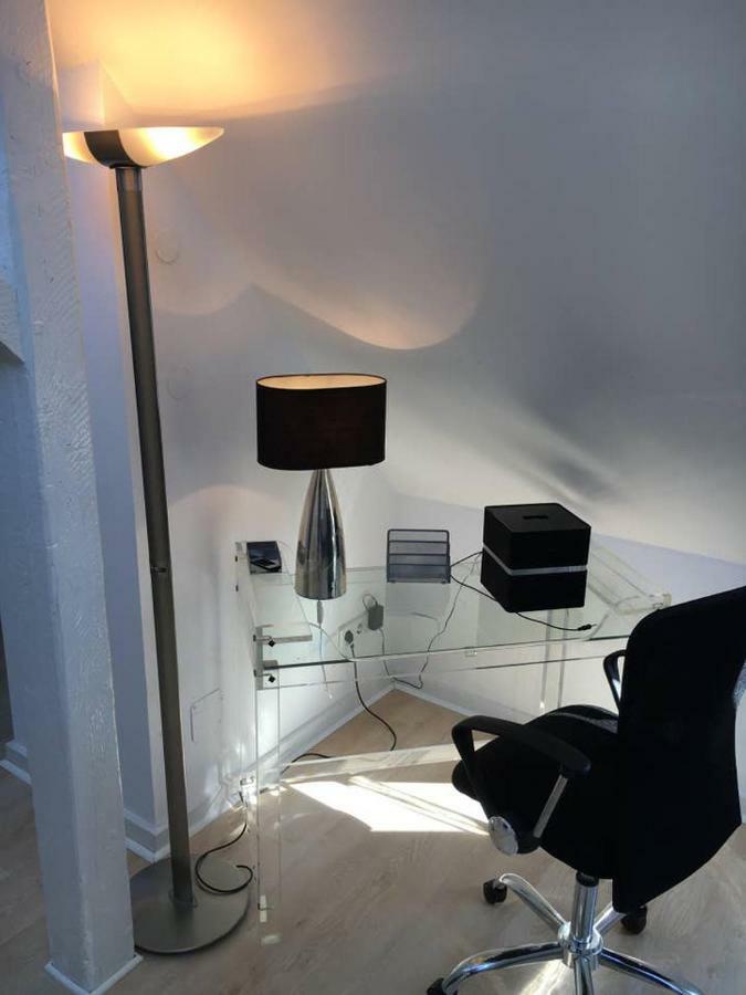Apartment Luxury Rooftop Loft With River View 10min To City
